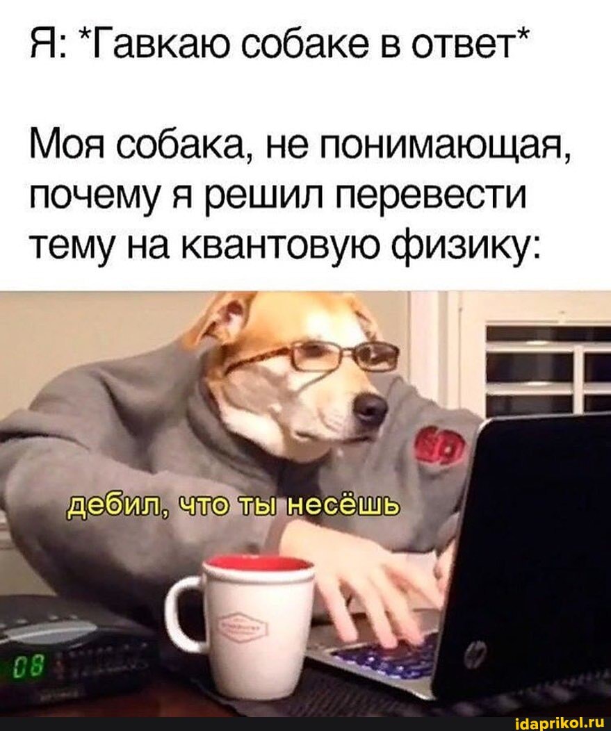 Я: *Гавкаю собаке в ответ*
Моя собака, не понимающая, почему я решил перевести тему на квантовую физику: