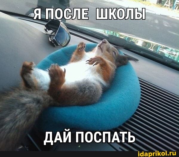 Я ПОСЛЕ ШКОЛЫ
ДАЙ ПОСПАТЬ