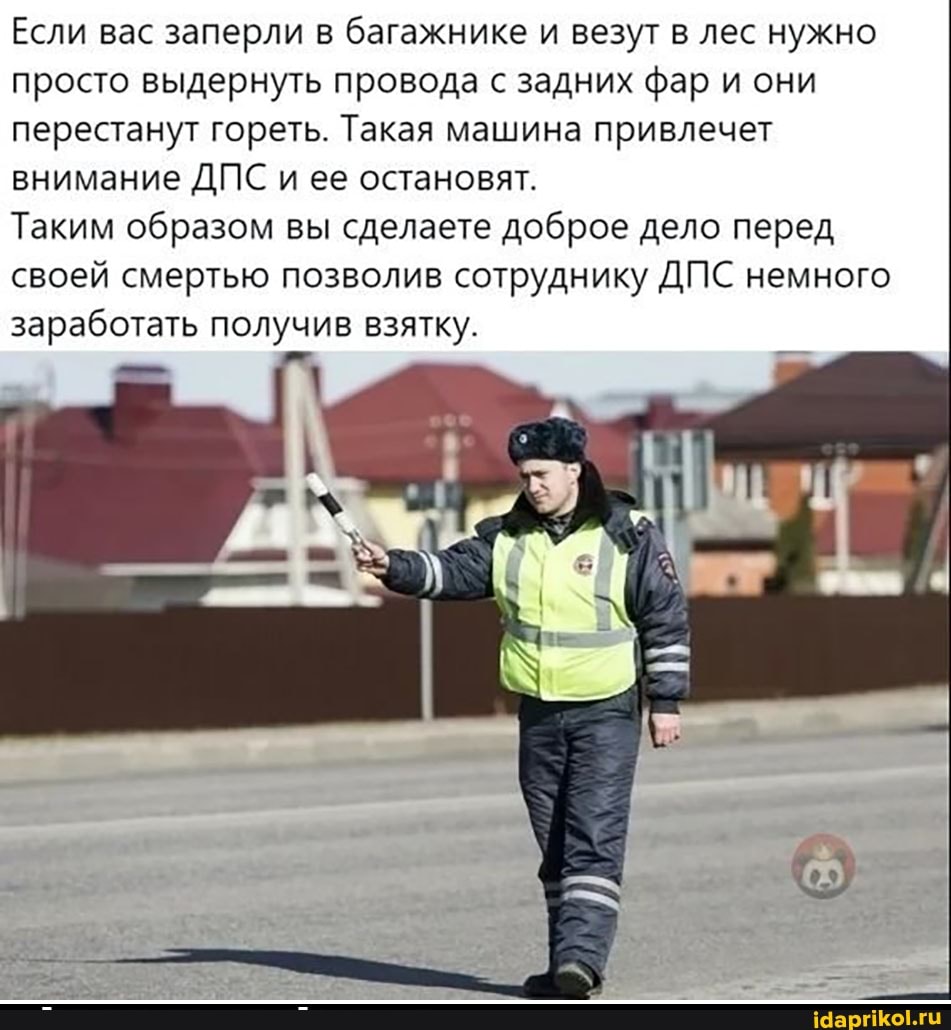 Если вас заперли в багажнике и везут в лес нужно просто выдернуть провода с задних фар и они перестанут гореть. Такая машина привлечет внимание ДПС и ее остановят.
Таким образом вы сделаете доброе дело перед своей смертью позволив сотруднику ДПС немного заработать получив взятку.