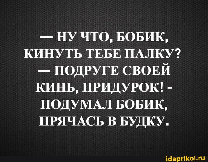 - НУ ЧТО, БОБИК,
КИНУТЬ ТЕБЕ ПАЛКУ?
- ПОДРУГЕ СВОЕЙ КИНЬ, ПРИДУРОК! -
ПОДУМАЛ БОБИК,
ПРЯЧАСЬ В БУДКУ.