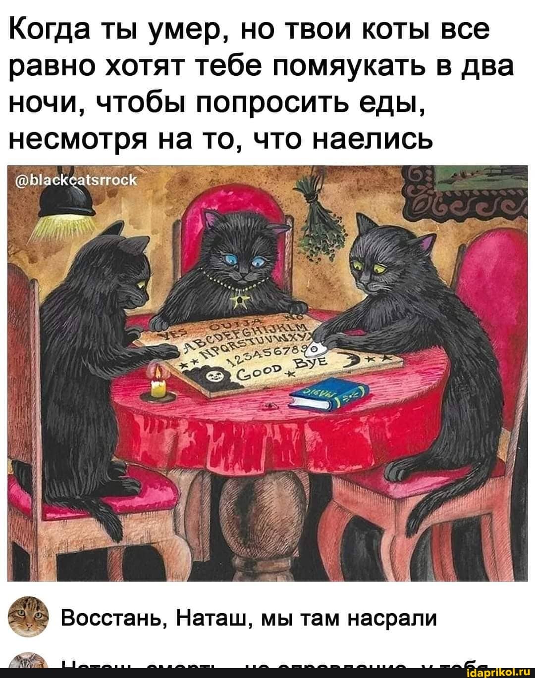 Когда ты умер, но твои коты все равно хотят тебе помяукать в два
ночи, чтобы попросить еды, несмотря на то, что наелись
Восстань, Наташ, мы там насрали