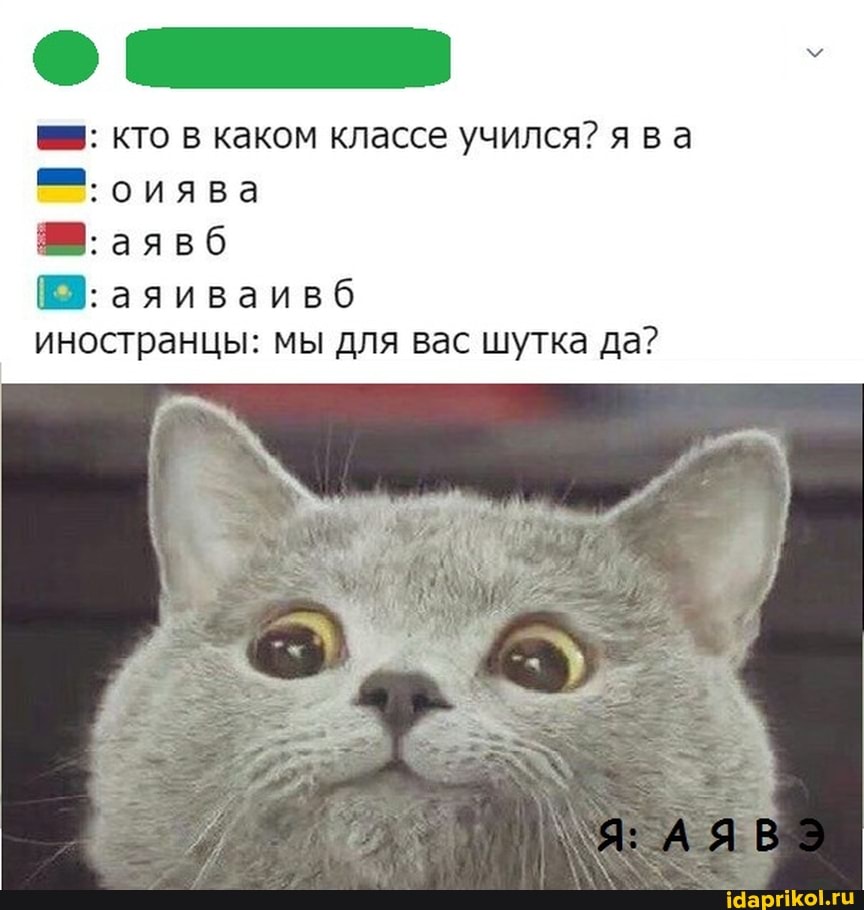кто в каком классе учился? ява оиява
аявб
аяиваивб
иностранцы: мы для вас шутка да?
АЯВЭ