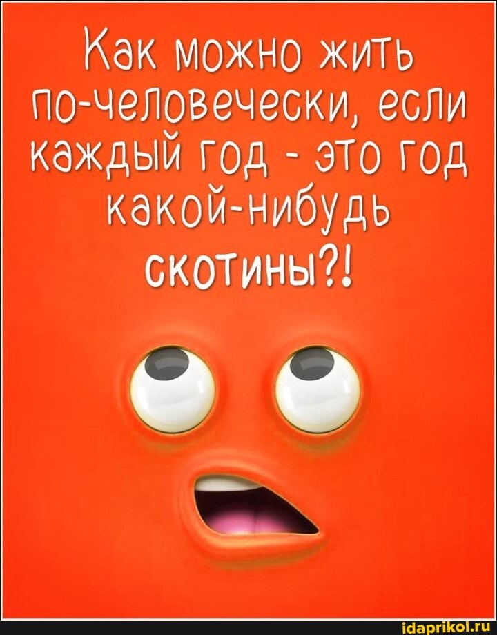 Как можно жить по-человечески, если каждый год - это год
какой-нибудь скотины?!