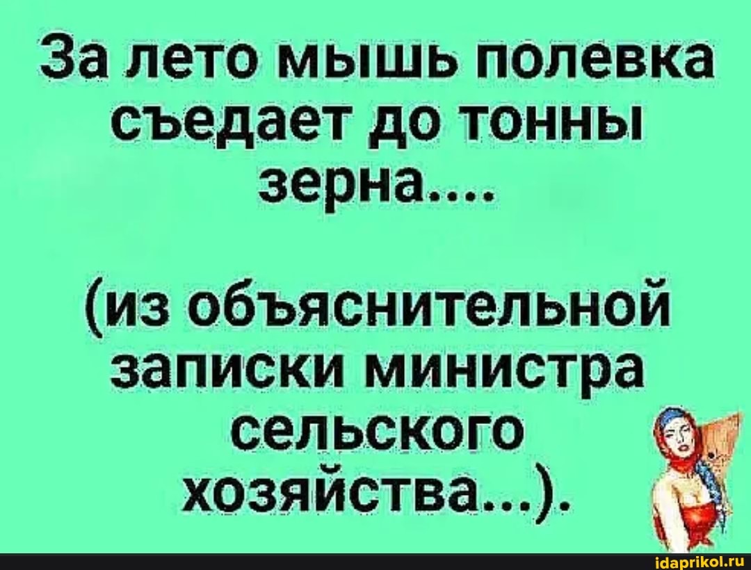 За лето мышь полевка сеедает до тонны зерна....
(из обяснительной записки министра
сельского
хозяйства...).