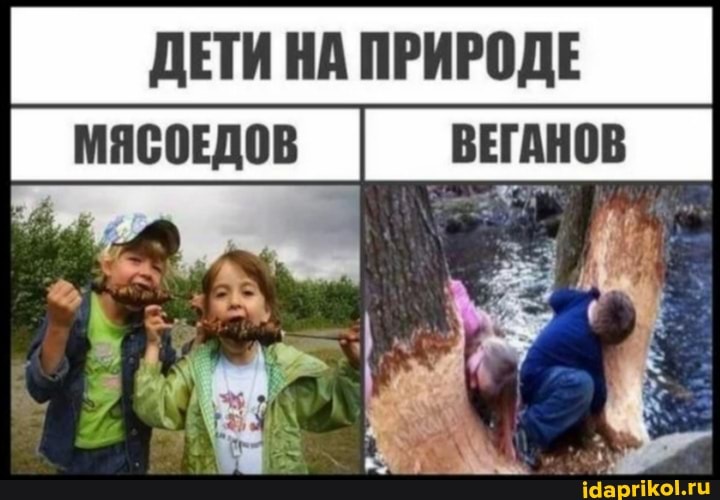 ДЕТИ НА ПРИРОДЕ
