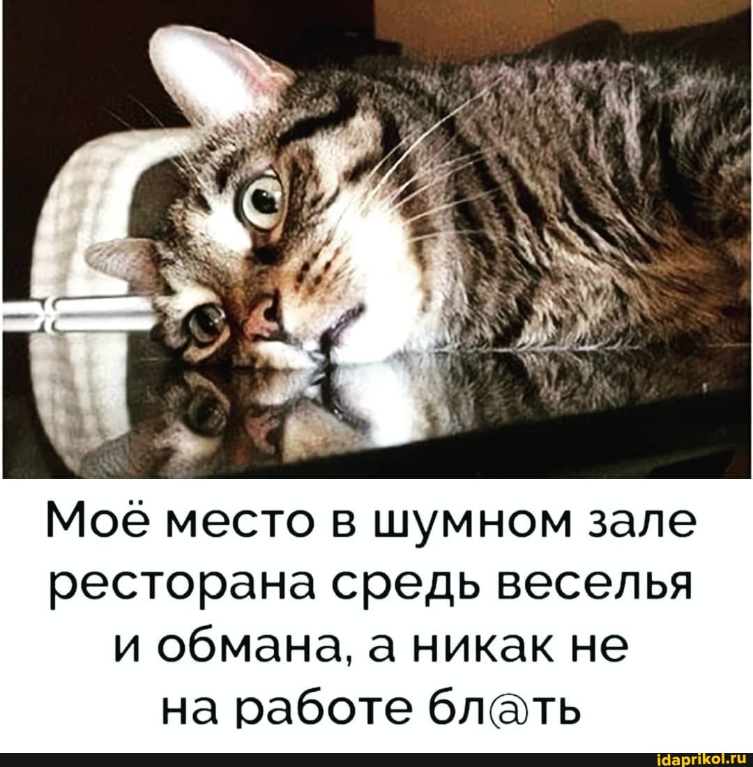 Мое место в шумном зале ресторана средь веселья и обмана, а никак не на работе