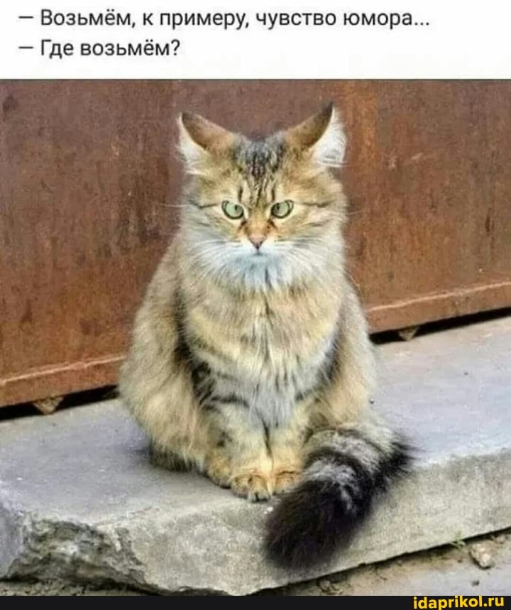 - Возьмём, к примеру, чувство юмора...
- Где возьмём?