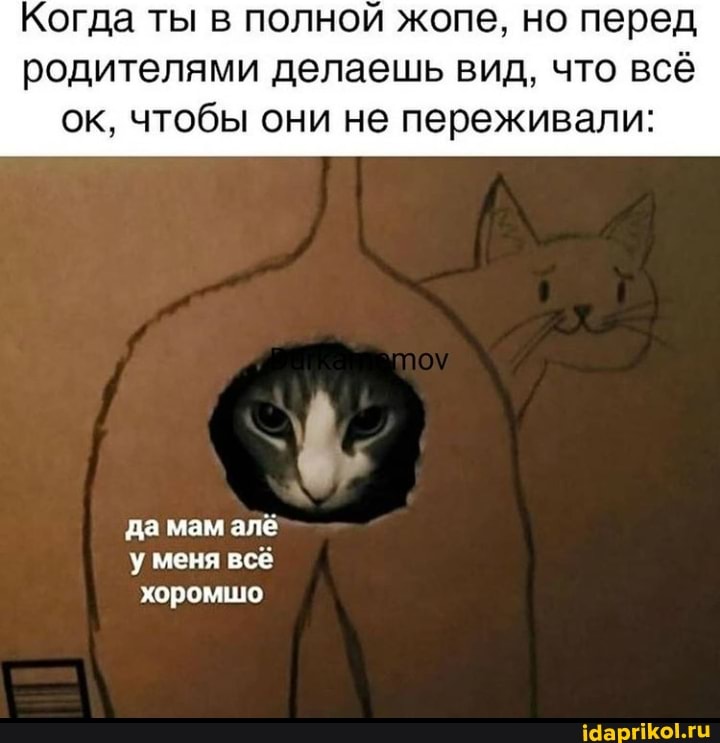Когда ты в полной жопе, но перед родителями делаешь вид, что всё ок, чтобы они не переживали:
да мам алё у меня всё хоромшо
