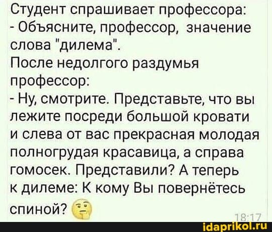 Студент спрашивает профессора:
- Обясните, профессор, значение слова "дилема".
После недолгого раздумья профессор:
- Ну, смотрите. Представьте, что вы лежите посреди большой кровати и слева от вас прекрасная молодая полногрудая красавица, а справа гомосек. Представили? А теперь
к дилеме: К кому Вы повернётесь
спиной?