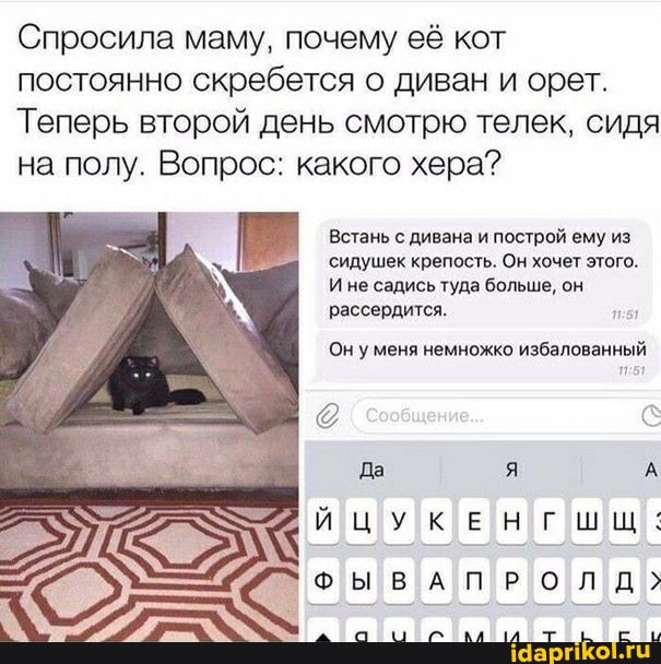 Спросила маму, почему её кот
постоянно скребется о диван и орет.
Теперь второй день смотрю телек, сидя
на полу. Вопрос: какого хера?
Встань с дивана и построй ему из
'сидушек крепость. Он хочет этого.
И не садись туда больше, он
рассердится.
Он уменя немножко избалованный
