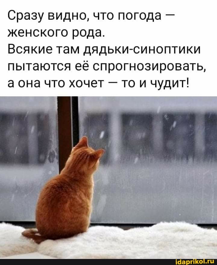 Сразу видно, что погода - женского рода.
Всякие там дядьки-синоптики пытаются её спрогнозировать, а она что хочет - то и чудит!