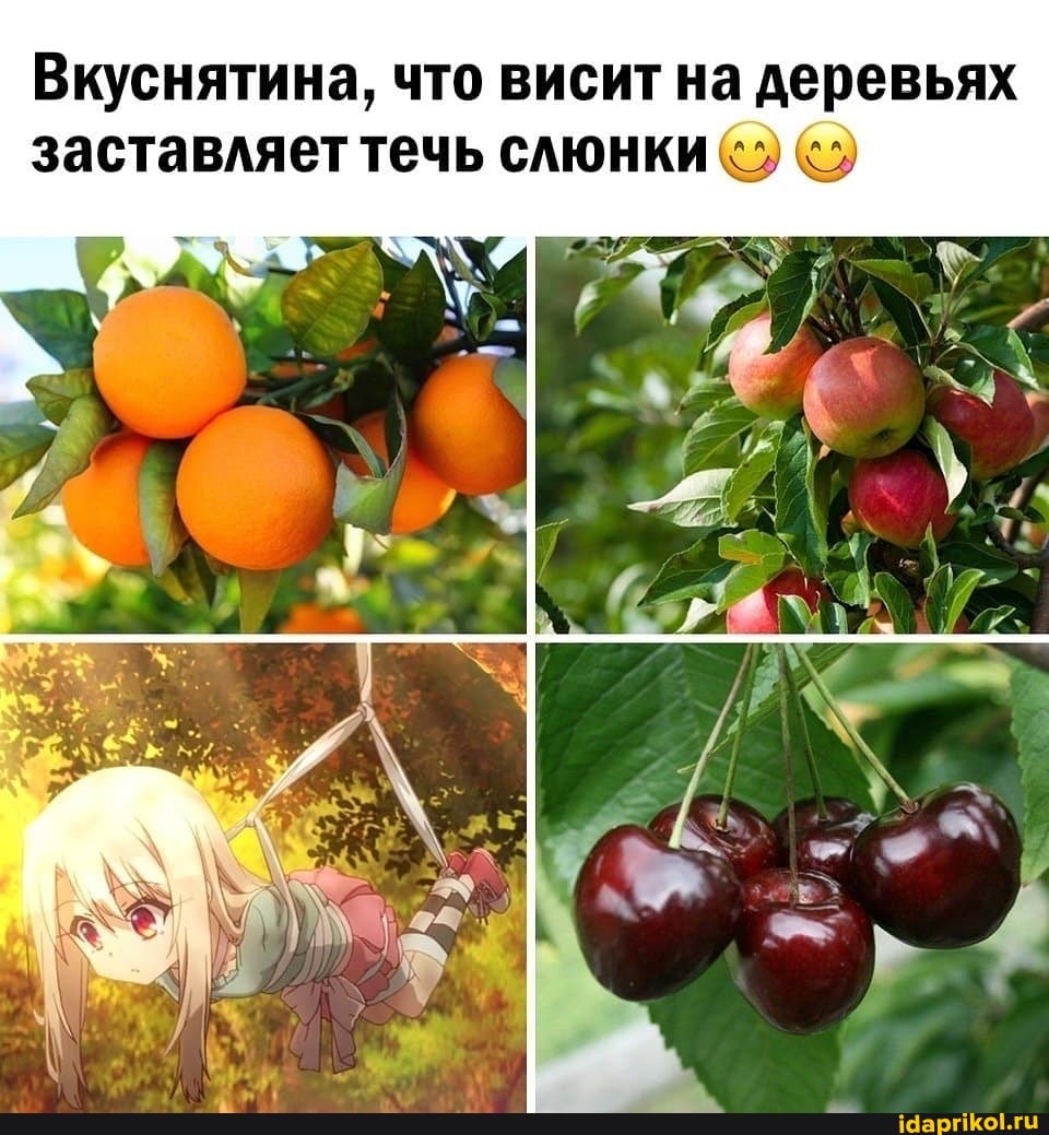 Вкуснятина, что висит на деревьях заставляет течь слюнки