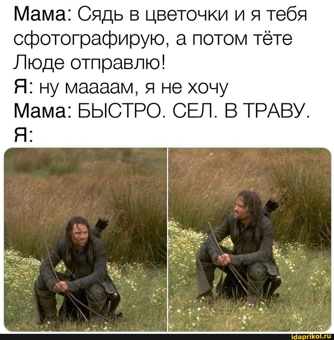 Мама: Сядь в цветочки и я тебя сфотографирую, а потом тёте
Люде отправлю!
Я: ну маааам, я не хочу
Мама: БЫСТРО. СЕЛ. В ТРАВУ.