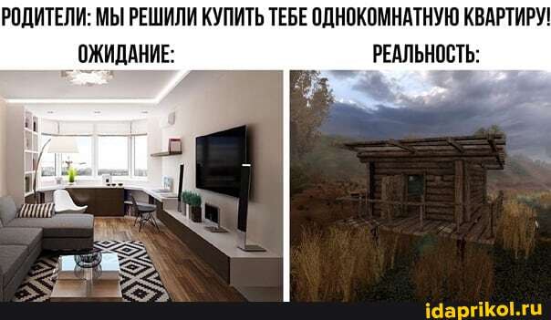 РОДИТЕЛИ: МЫ РЕШИЛИ КУПИТЬ ТЕБЕ ОДНОКОМНАТНУЮ КВАРТИРУ!
_ ОЖИДАНИЕ: РЕАЛЬНОСТЬ:
