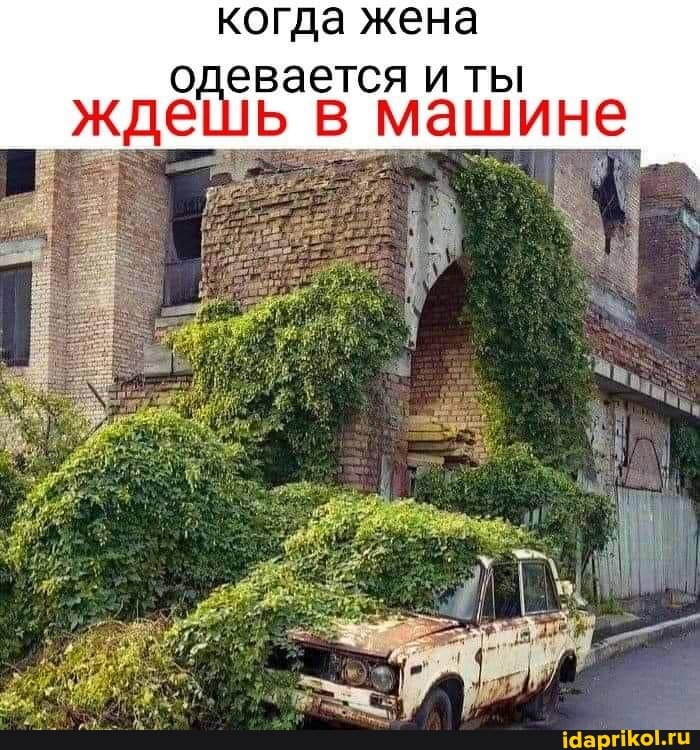 когда жена
одевается и ты ждешь в машине