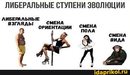 ЛИБЕРАЛЬНЫЕ СТУПЕНИ ЭВОЛЮЦИИ
СМЕНА
ЛИБЕРАЛЬНЫЕ взгляды СМЕНА СМЕНА ОРИЕНТАЦИИ ПОЛА