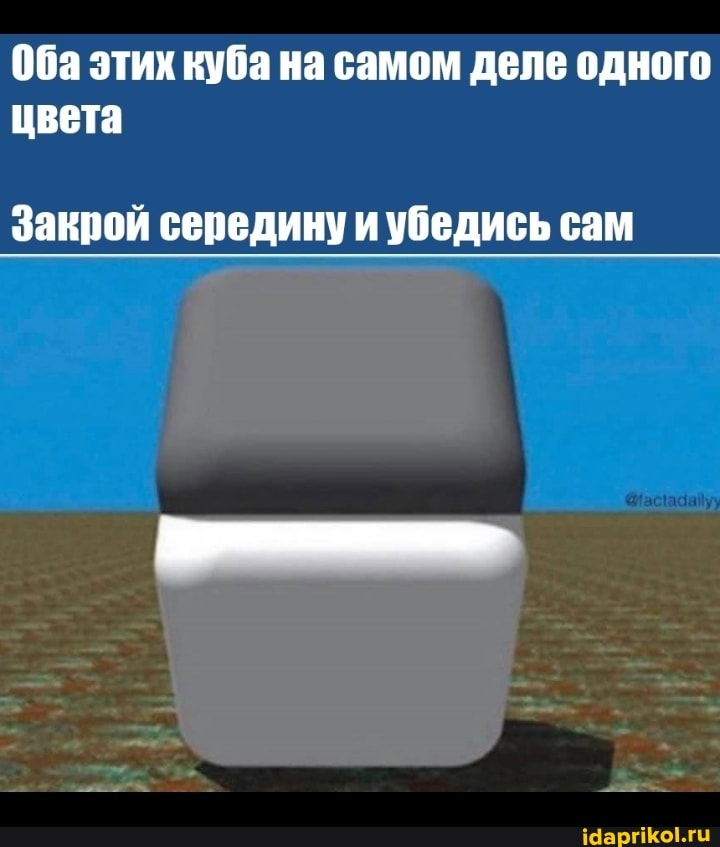 Оба этих куба на самом деле одного цвета
Закрой середину и убедись сам