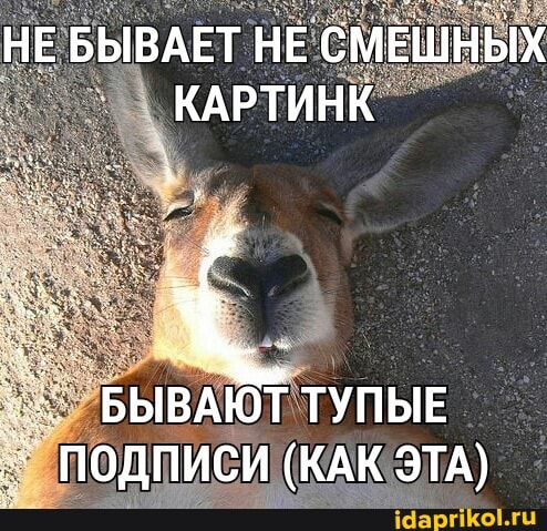 НЕ БЫВАЕТ НЕ СМЕШНЫХ КАРТИНК
БЫВАЮТ ТУПЫЕ ПОДПИСИ (КАК ЭТА)