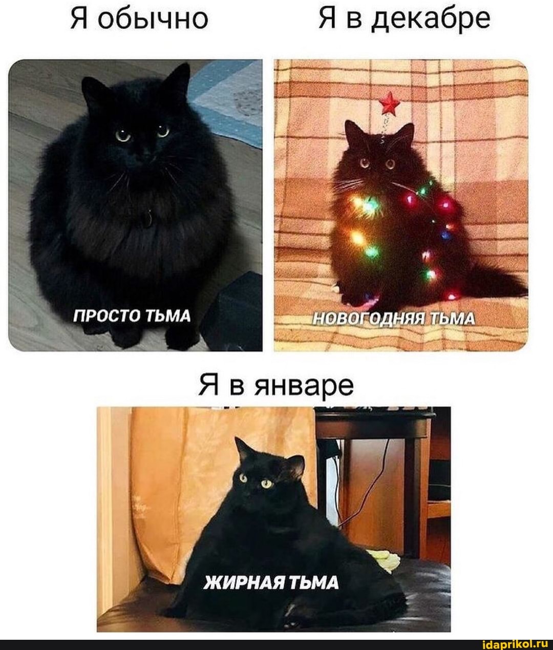 Я обычно Я в декабре
ПРОСТО ТЬМА
вянваре
ЖИРНАЯ ТЬМА