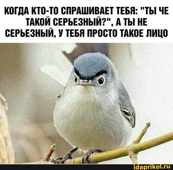 КОГДА КТО-ТО СПРАШИВАЕТ ТЕБЯ: "ТЫ ЧЕ ТАКОЙ СЕРЬЕЗНЫЙ? А ТЫ НЕ СЕРЬЕЗНЫЙ, У ТЕБЯ ПРОСТО ТАКОЕ ЛИЦО