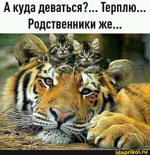 Акуда деваться?... Терплю...
Родственники же...