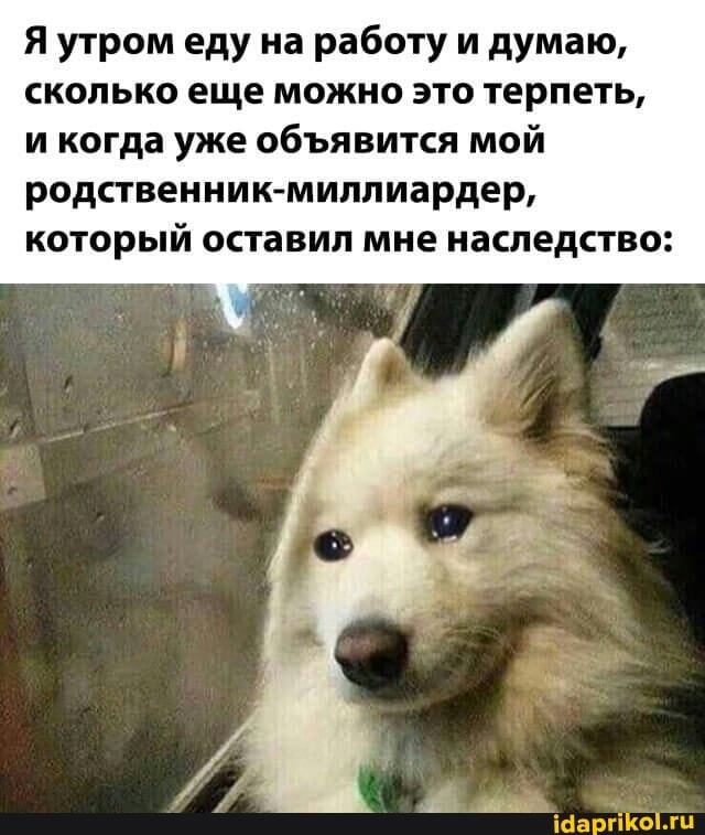 Я утром еду на работу и думаю, сколько еще можно это терпеть, и когда уже обявится мой родственник-миллиардер, который оставил мне наследство: