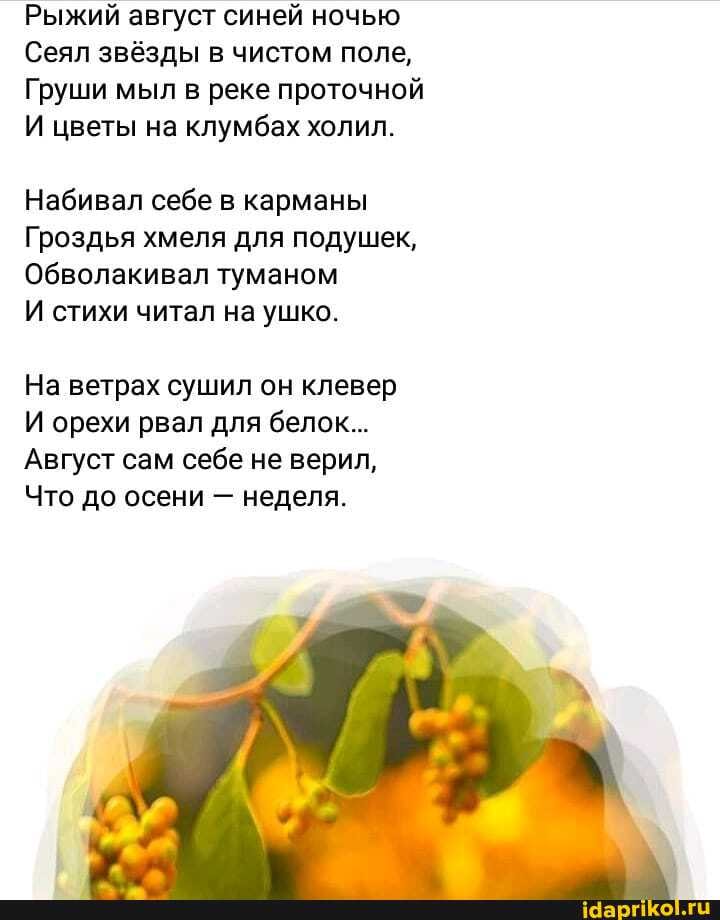 Рыжий август синей ночью
Сеял звёзды в чистом поле,
Груши мыл в реке проточной
И цветы на клумбах холил.
Набивал себе в карманы
Гроздья хмеля для подушек,
Обволакивал туманом
И стихи читал на ушко.
На ветрах сушил он клевер
И орехи рвал для белок...
Август сам себе не верил,
Что до осени - неделя.