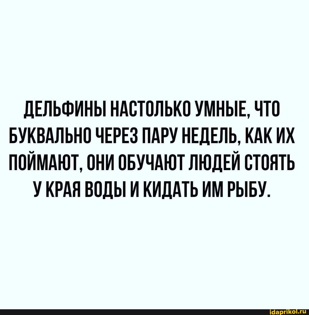 ДЕЛЬФИНЫ НАСТОЛЬКО УМНЫЕ, ЧТО БУКВАЛЬНО ЧЕРЕЗ ПАРУ НЕДЕЛЬ, КАК ИХ ПОЙМАЮТ, ОНИ ОБУЧАЮТ ЛЮДЕЙ СТОЯТЬ
УКРАЯ ВОДЫ И КИДАТЬ ИМ РЫБУ.