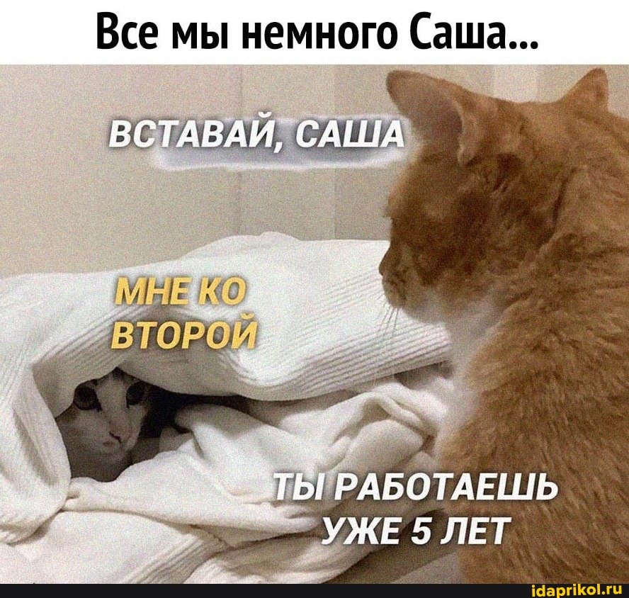 мы немного
ВСТАВАЙ, САША
КО
'ВТОРОЙ
_ ЛЫ РАБОТАЕШЬ ЛЕТ