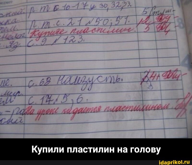 Купили пластилин на голову - Купили пластилин на голову