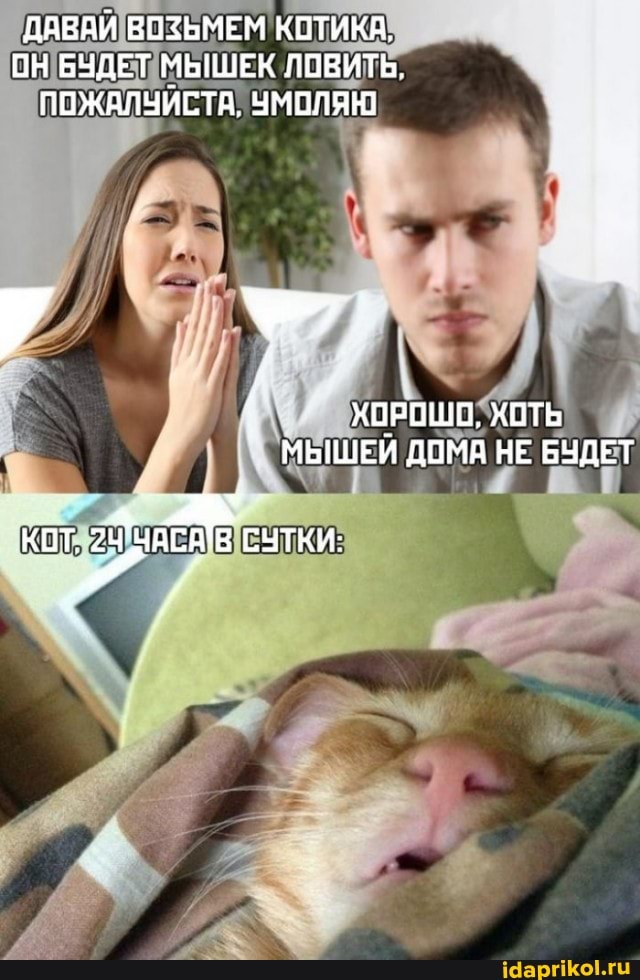 ДАВАЙ ВОЗЬМЕМ КОТИКА,
ОН БУДЕТ МЫШЕК ЛОВИТЬ.
ПОЖАЛУИСТА, УМОЛЯЮ
{ ХОРОШО. ХОТЬ МЫШЕЙ ДОМВ НЕ БУДЕТ кот сатки