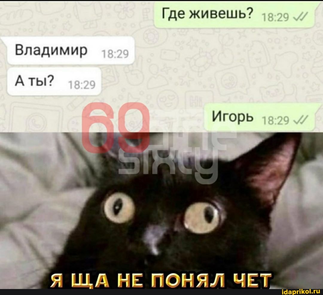 Где живешь?
Игорь
Владимир -злэ
ты?
Я ША НЕ ПОНЯЛ ЧЕТ