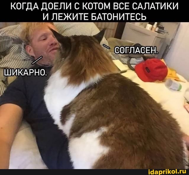 КОГДА ДОЕЛИ С КОТОМ ВСЕ САЛАТИКИ И ЛЕЖИТЕ БАТОНИТЕСЬ
СОГЛАСЕН
ШИКАРНО