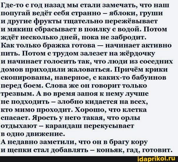 Где-то с год назад мы стали замечать, что наш попугай ведёт себя странно яблоки, груши
и другие фрукты тщательно пережёвывает
и мякиш сбрасывает в поилку с водой. Потом ждёт несколько дней, пока не забродит.
Как только бражка готова - начинает активно пить. Потом с трудом залезет на жёрдочку
и начинает голосить так, что люди из соседних домов приходили жаловаться. Причём крики скопированы, наверное, с каких-то бабуинов перед боем. Слова же он говорит только трезвым. А во время запоя к нему лучше
не подходить - злобно кидается на всех,
кто мимо проходит. Хорошо, что клетка спасает. Ярость у него такая, что орлы отдыхают - карандаш перекусывает
в одно движение.
А недавно заметили, что он в брагу кору
и щепки стал добавлять - коньяк, гад, готовит.