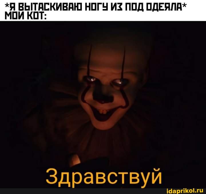 *Я ВЫТАСКИВАЮ НОГУ ИЗ ПОД ОДЕЯЛА*
МОИ КОТ:
Здравствуй
