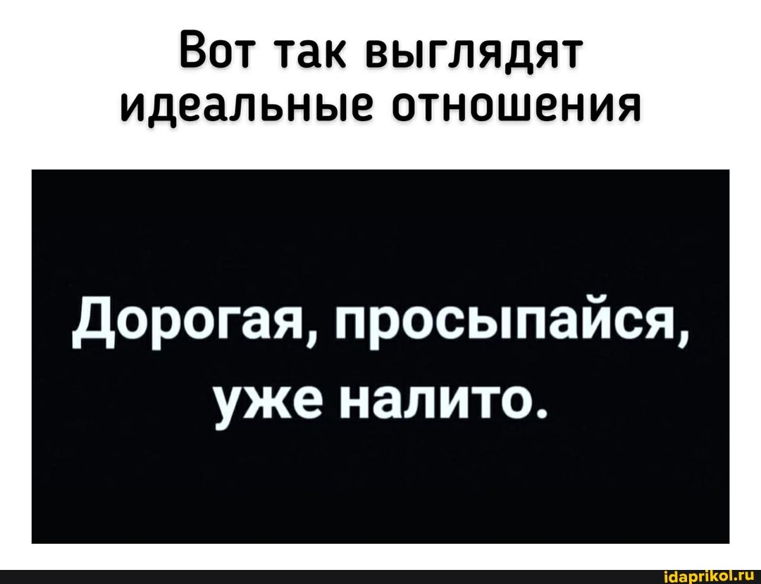 Вот так выглядят идеальные отношения
Дорогая, просыпайся, уже налито.