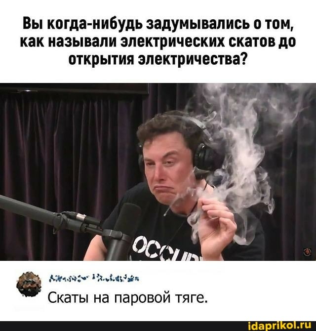 Вы когда-нибудь задумывались о том, как называли электрических скатов до открытия электричества?
Скаты на паровой тяге.
