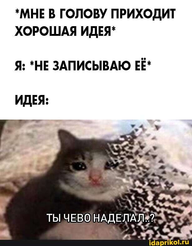 *МНЕ В ГОЛОВУ ПРИХОДИТ
ХОРОШАЯ ИДЕЯ*
Я: *НЕ ЗАПИСЫВАЮ ЕЁ*
ИДЕЯ: