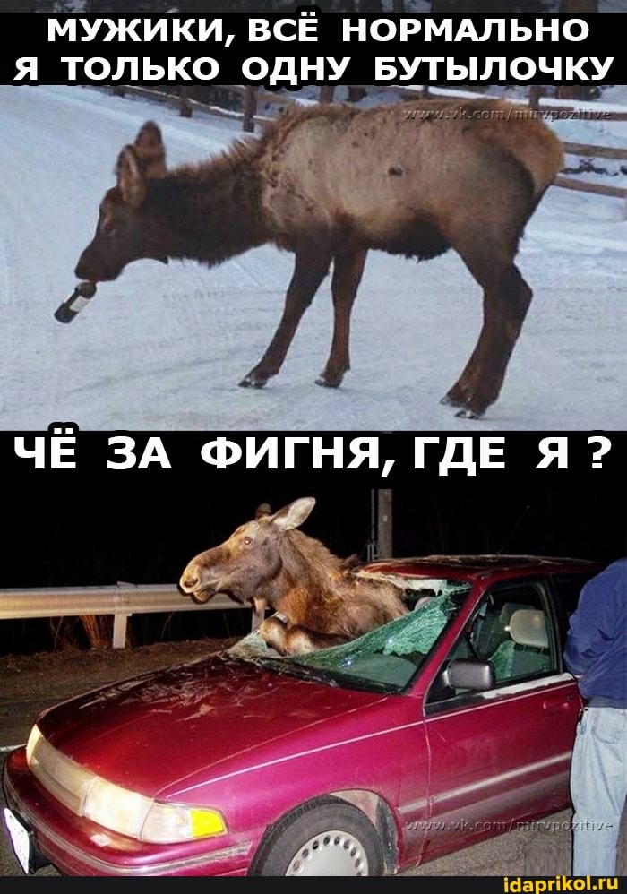 МУЖИКИ, ВСЁ НОРМАЛЬНО Я ТОЛЬКО ОДНУ БУТЫ
ЧЁ ЗА ФИГНЯ, ГДЕ Я?