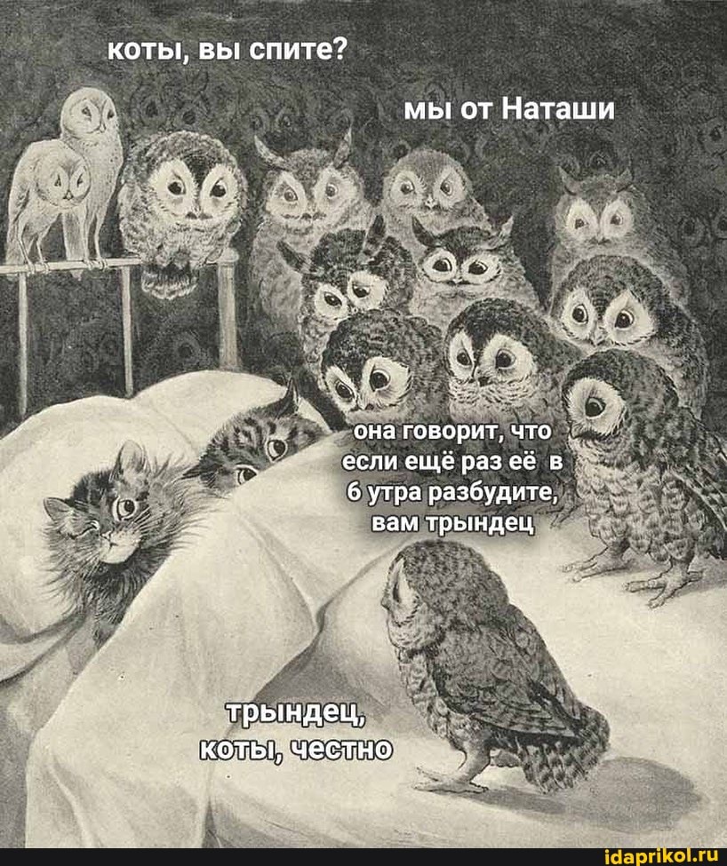 коты, вы спите?
мы от Наташи
она говорит, что если ещё раз её в
6 утра разбудите, вам трындец
трындец, котьг, честно