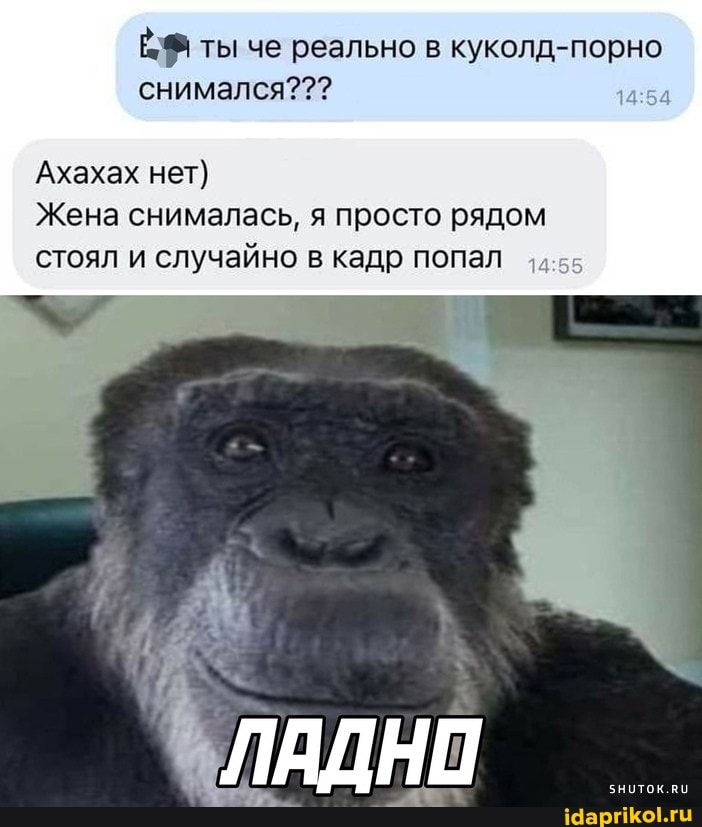 секс с обезьяной Ты че реально в куколд-порно снимался??? Ахахах нет) Жена снималась, я  просто рядом стоял и случайно в кадр попал ЛАДНО _ - АйДаПрикол