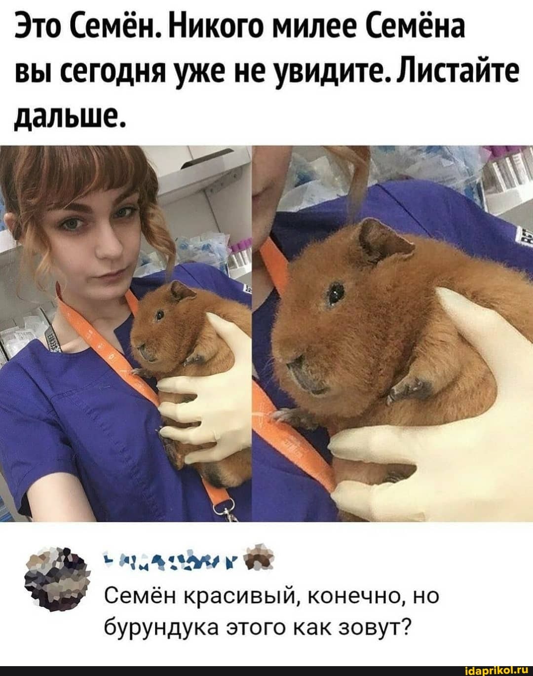 Это (Семён. Никого милее (Семёна вы сегодня уже не увидите. Листайте дальше.
Семён красивый, конечно, но бурундука этого как зовут?