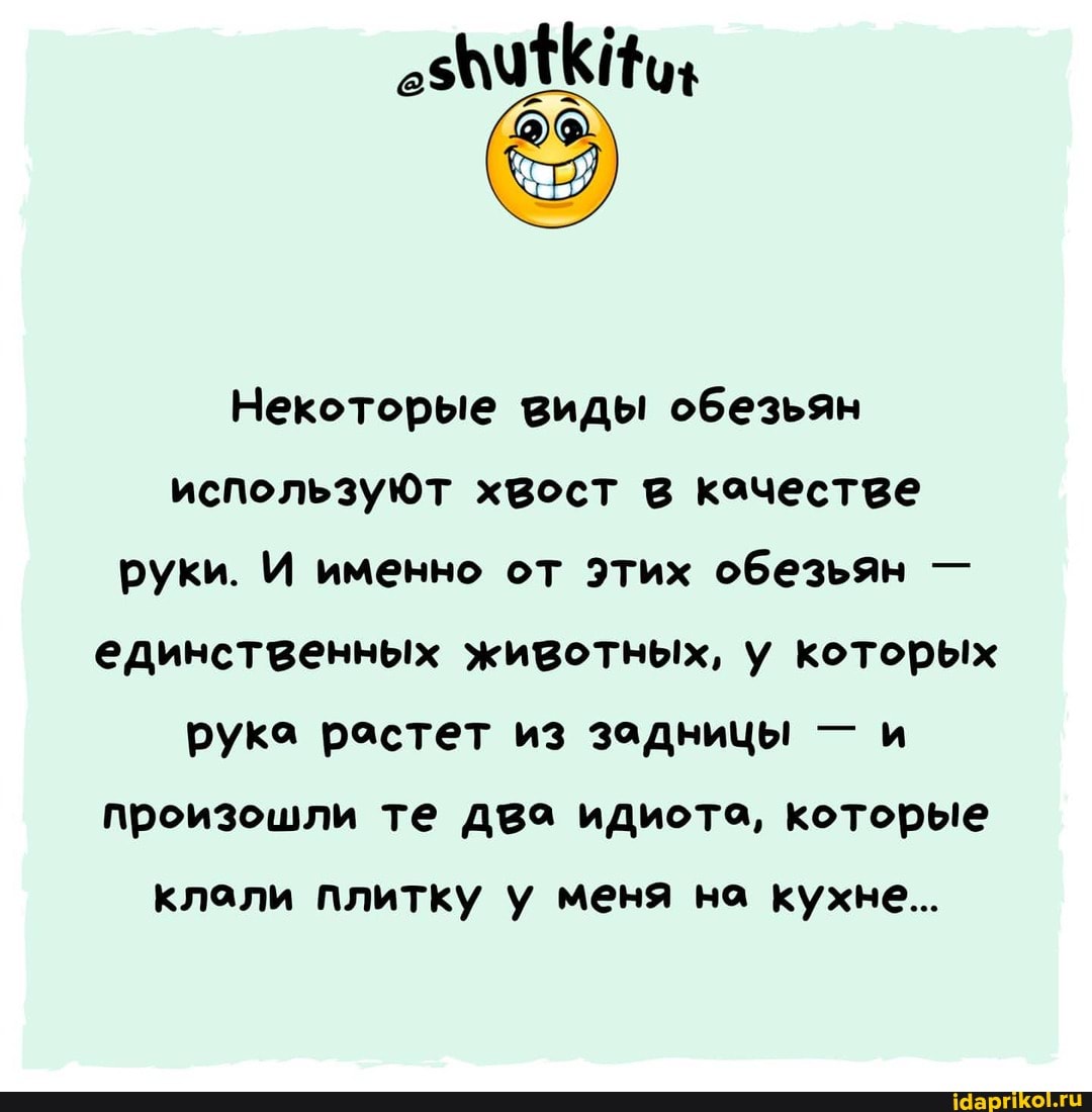 Некоторые виды обезьян используют хвост в кочестве руки. И именно от Этих обезьян - единственных животных, у которых рука растет из задницы - и произошли те два идиота, которые
клали плитку у меня на кухне...