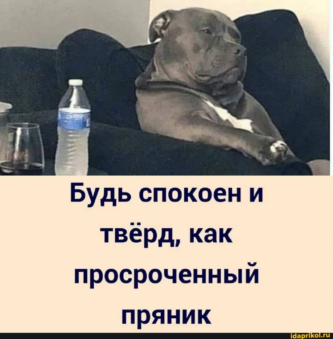 Будь спокоен и
твёрд, как просроченный пряник