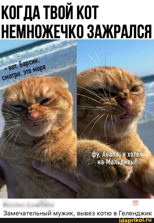 КОГДА ТВОЙ КОТ НЕМНОЖЕЧКО ЗАЖРАЛСЯ
Я хОте на Мальдивы!
Замечательный мужик, вывез котю в Геленджик
