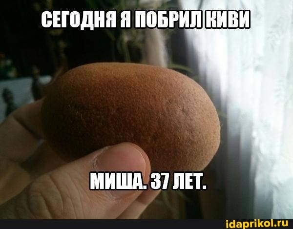СЕГОДНЯ Я ПОБРИЛ КИВИ,
МИША. 37 ЛЕТ.