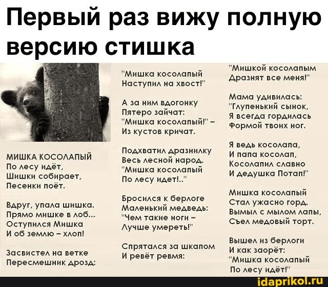 86b0424a15fbef847ecdb48f65cc824f4efac20c8fef18ba845a509838ac6f0a_1.jpg
