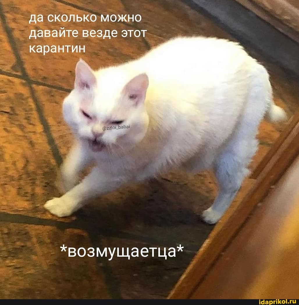 _ да сколько можно
давайте везде этот карантин
*возмущаетца*