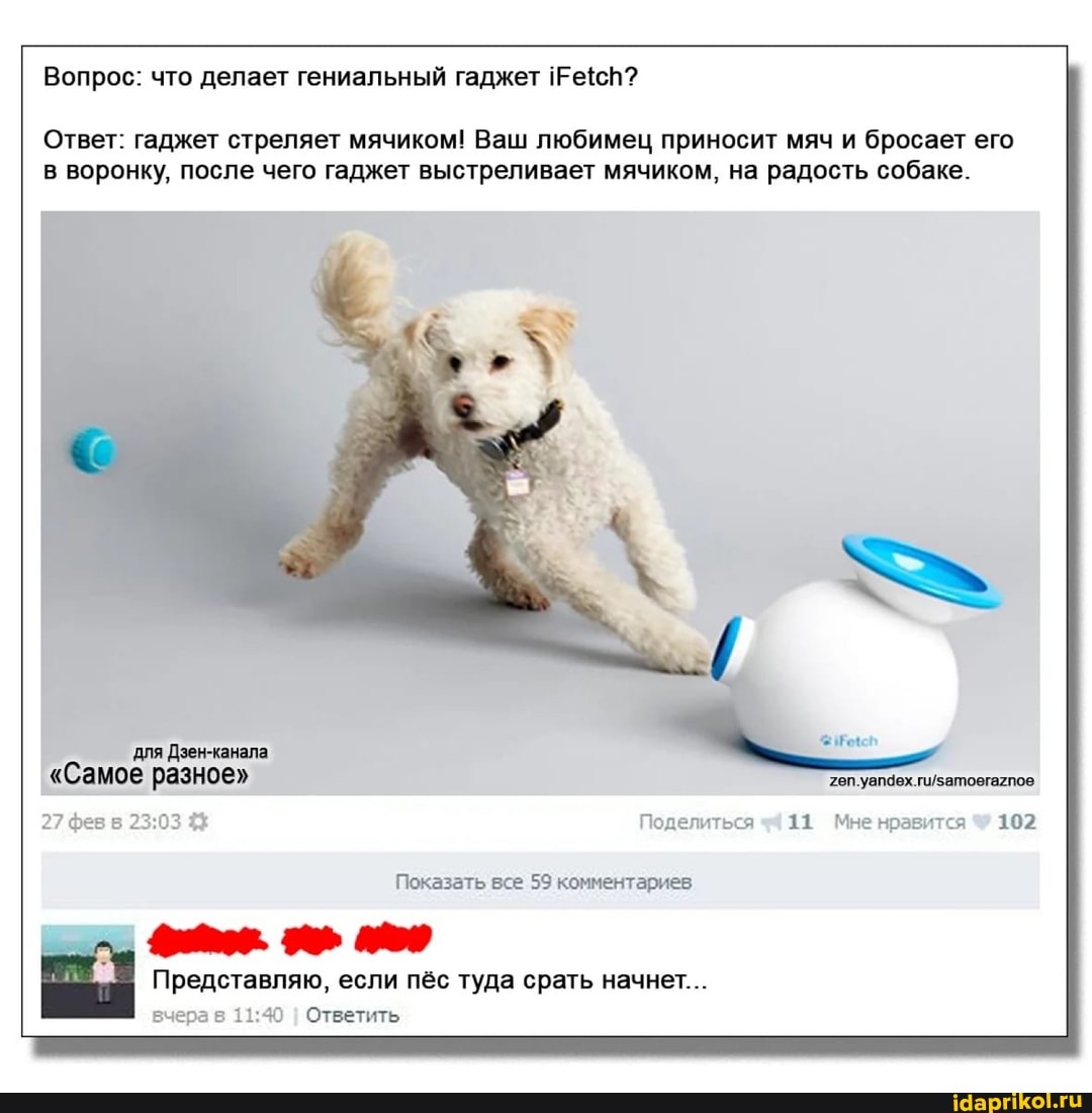 Вопрос: что делает гениальный гаджет
Ответ: гаджет стреляет мячиком! Ваш любимец приносит мяч и бросает его в воронку, после чего гаджет выстреливает мячиком, на радость собаке.
'для Дзен-канала.
"Самое разное" оп уапдех пизатоегагпое
27 фев в 4% Поделиться 4 11 Мне нравится 102
Показать все 59 комментариев
Представляю, если пёс туда срать начнет...
вчера в I Ответить