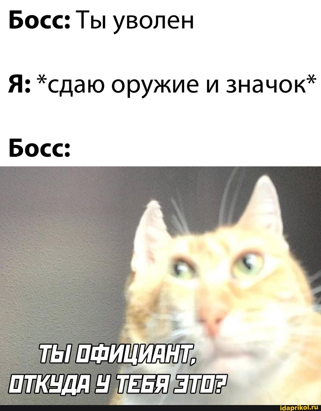 Босс: Ты уволен
Я: *сдаю оружие и значок*
Босс:
ТЫ! ОФИЦИАНТ,
ОТКУДА Ч ТЕБЯ ЭТО?